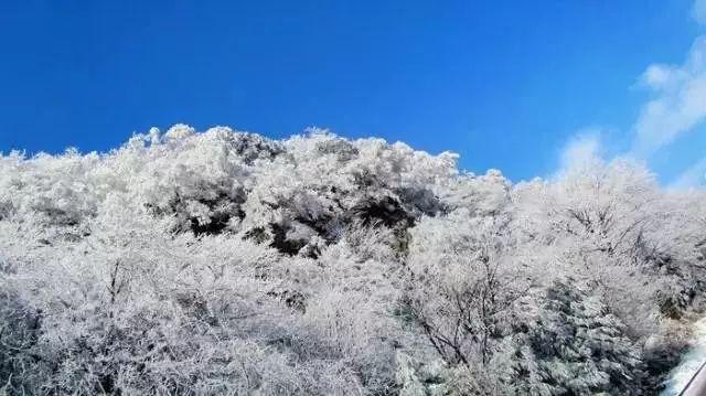 湖南跨年节目单官宣:TFBOYS压轴,王一博唱无感,杨紫翻唱她的歌