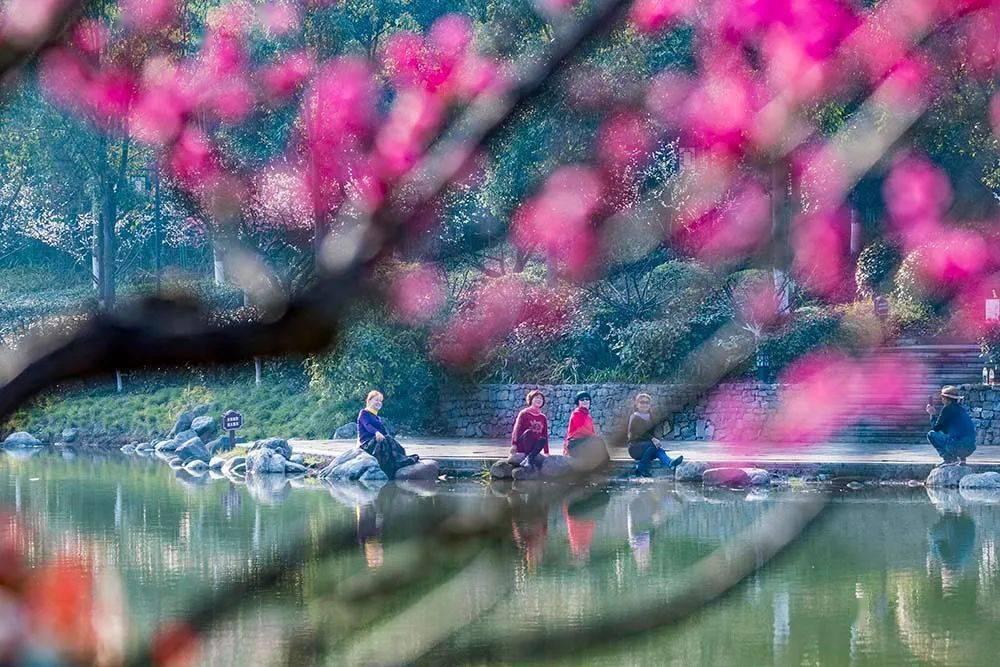 加入结婚要给女方家彩礼吗?,发现知识星球的魅力