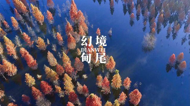 为何说越是分分合合的感情越是真爱？