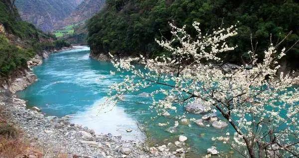 大民街道年货节开始了