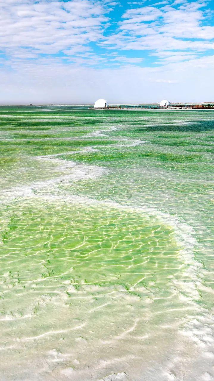 看清波荡漾 芳草萋萋 江苏首届“10佳湿地生态修复案例”出炉