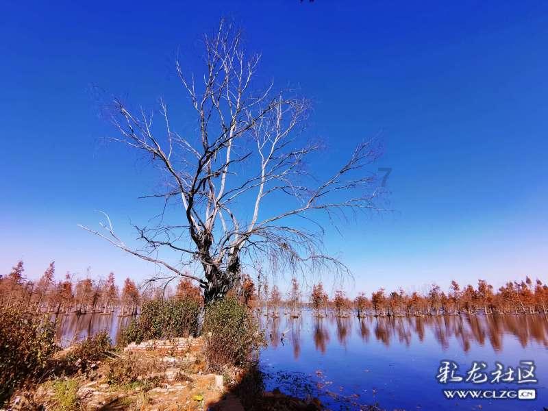 王一博遭恶意揣测:金融圈与娱乐圈的博弈
