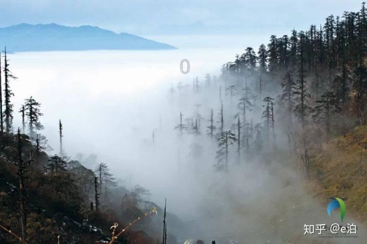 外省户口可以在河南读对口一年制中专吗?
