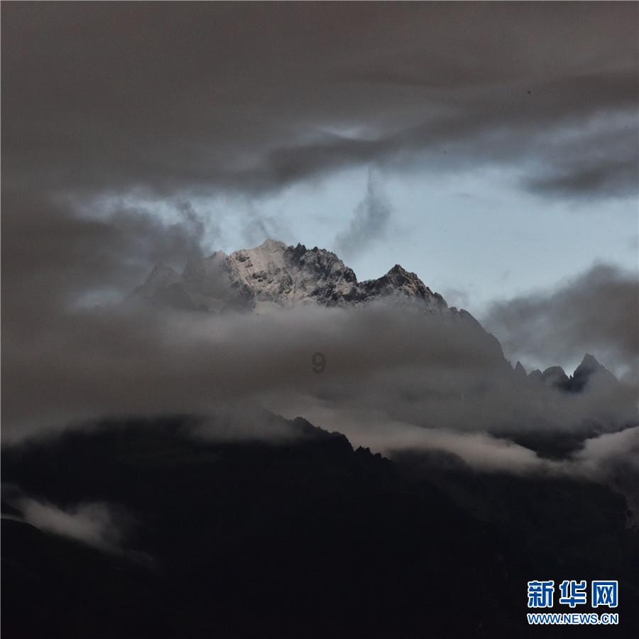 春雨直播app