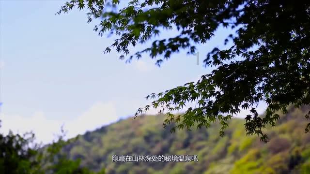 青岛市城市管理局组织召开年度综合考核现场述职会议