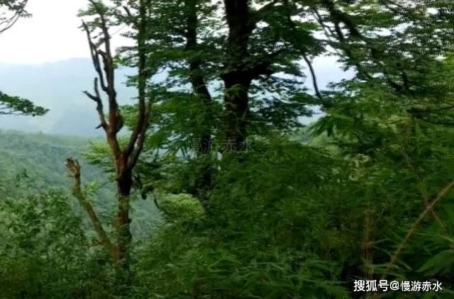 害怕恐惧症