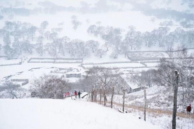 穿雪服、上雪板,驻华使节东北感受“速度与激情”