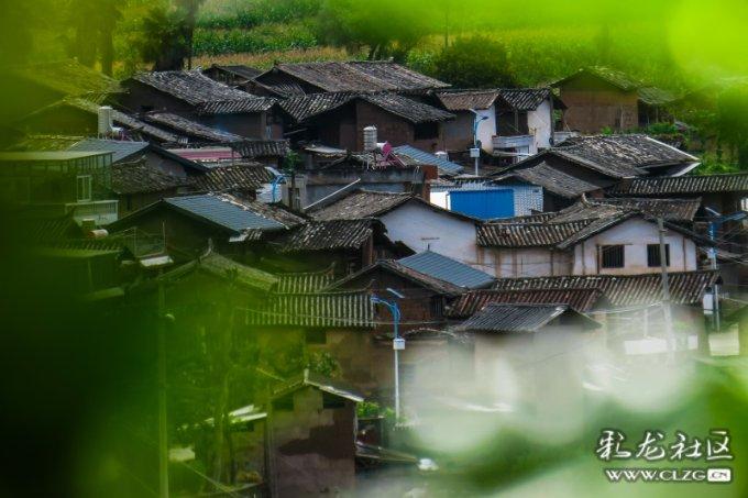 多部门联合会商，部署低温雨雪冰冻灾害防范应对工作
