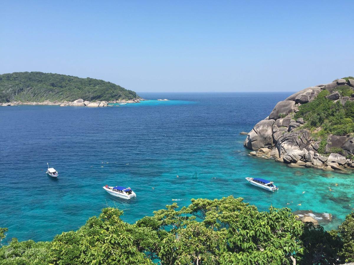 春节临近年味渐浓 海鲜礼盒受青睐 商户花式销售方便市民选购