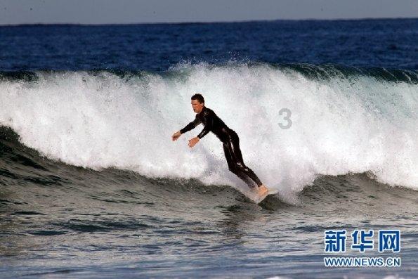 组装机械恐龙3