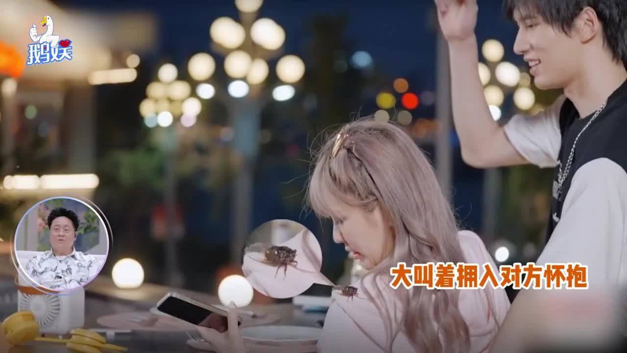 雨后盛放