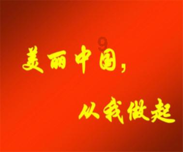 莘莘学子访冰城,听听他们怎么说......