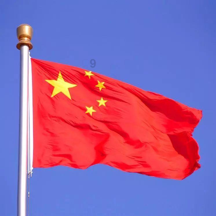 拍卖官许莹的人生多元选择
