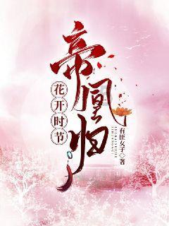 月光影视