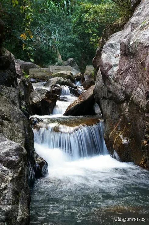 寂静岭：暴雨