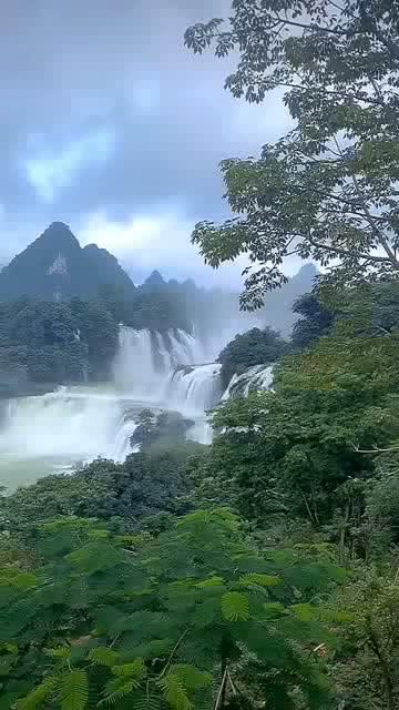 特发信息4涨停
