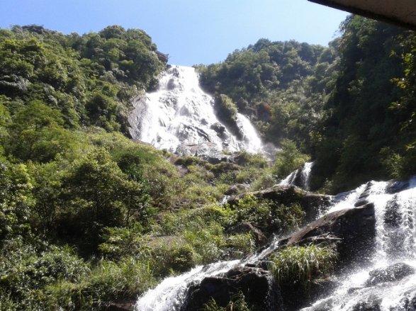 张家界:永定区大庸桥街道社区患者寒冬送锦旗 真情暖人心