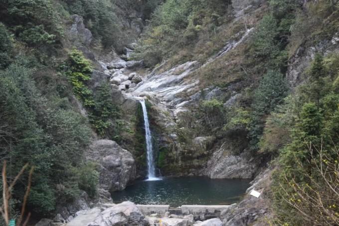虫虫助手下载