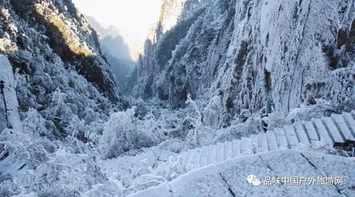 尉迟恭大闹李世民的寿宴,事后李世民试探地问他:听说你要造反?