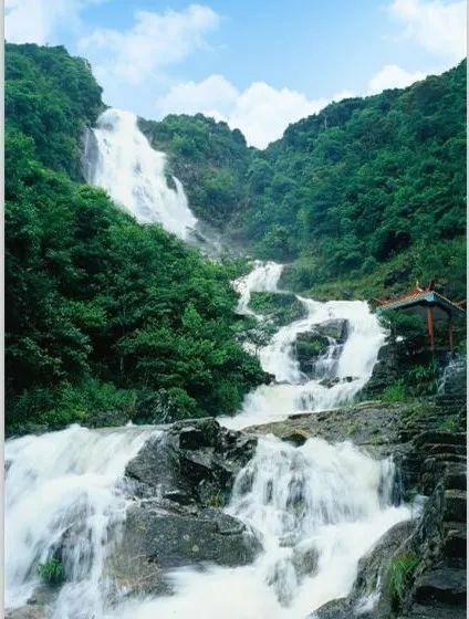 济宁太白湖新区行政审批服务局:提高帮办代办水平 让政务服务贴民心