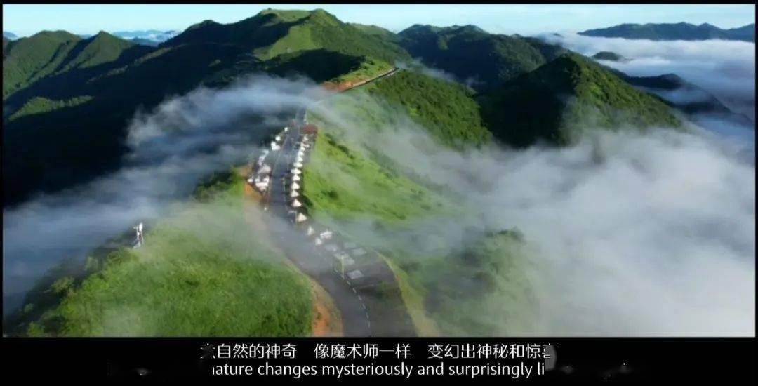坦克出行