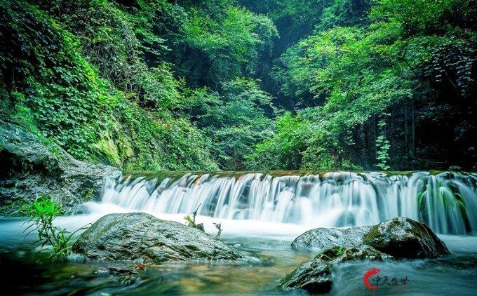 广东省政协委员为大湾区高质量发展建言献策