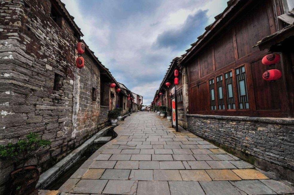 动物帮帮忙保卫家园