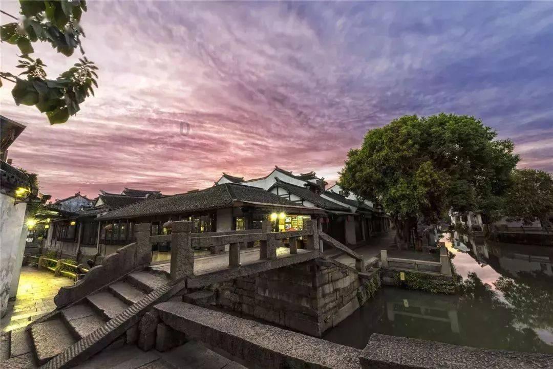 湘舜茶:茶为国饮,健康生活的引领者