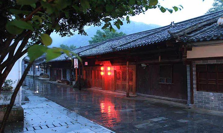 动物帮帮忙保卫家园