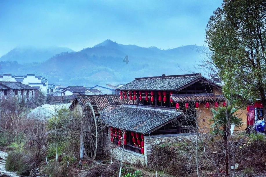 十块钱5个却有很多人排长队买，一天几百个鸡蛋都不够卖