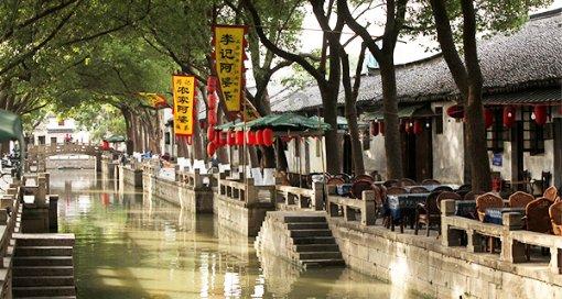 虎胆熊威3