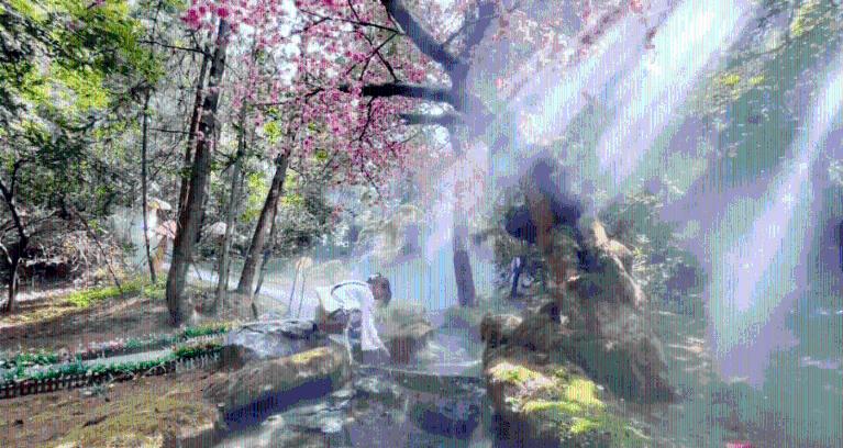 幻想森林逃生